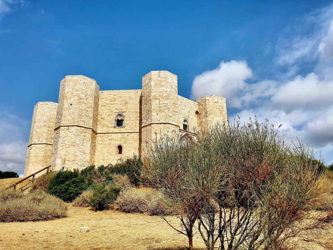 Van Mercedes per tour privato con autista in Puglia
