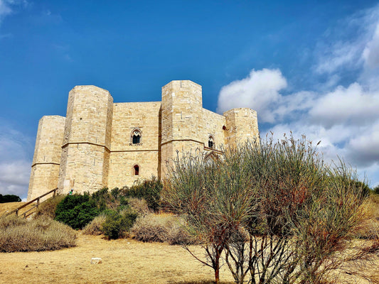 Van Mercedes per tour privato con autista in Puglia